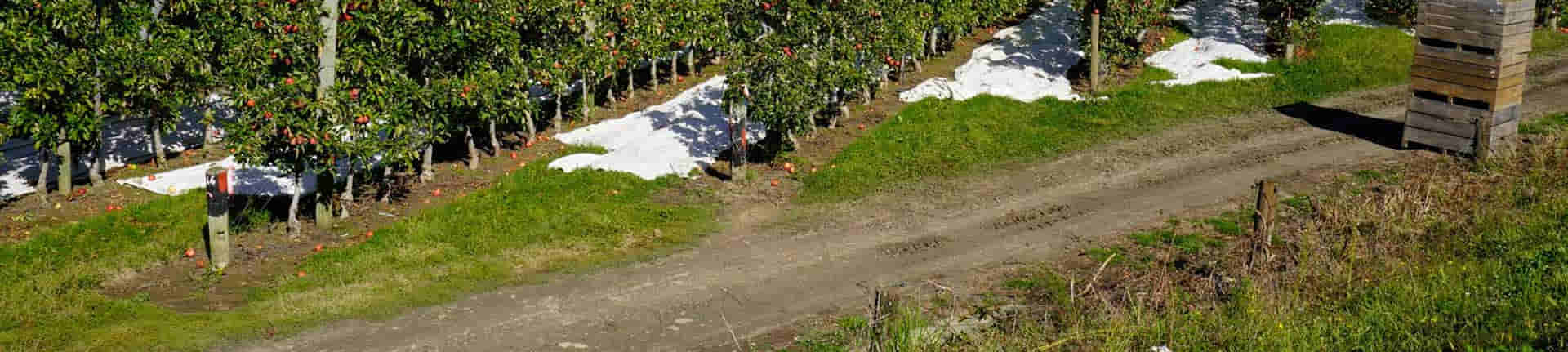 Fix your rutted orchard track
